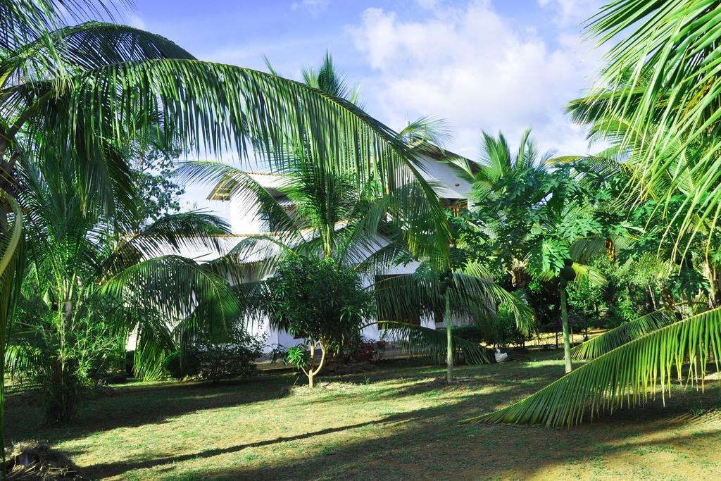 达瓦拉维 Coconut Garden House酒店 外观 照片