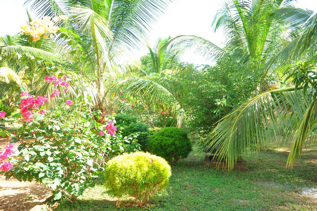 达瓦拉维 Coconut Garden House酒店 外观 照片